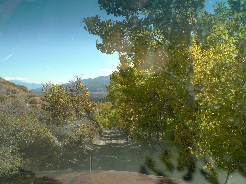 California-Fall2010 563.JPG